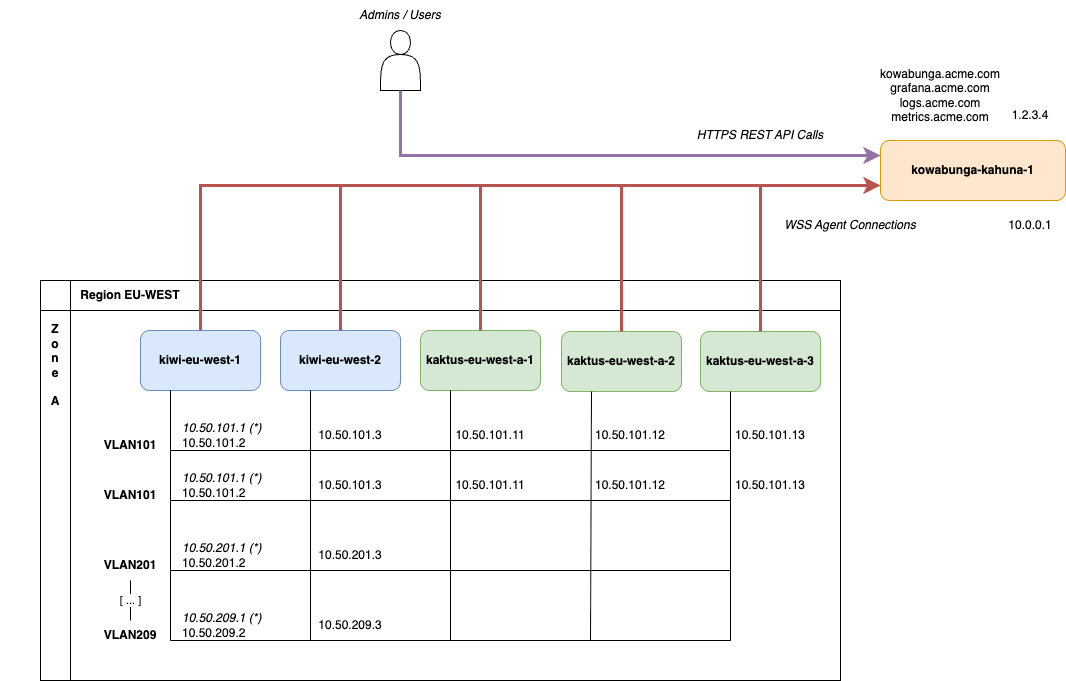 Network Topology